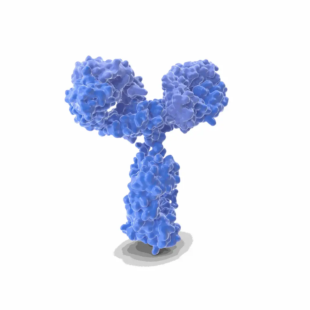 ABCA7 Antibody - 100 µg